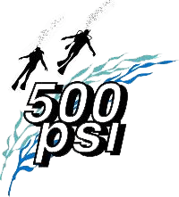 Logo 500 psi